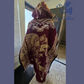 Mexican wolf Poncho