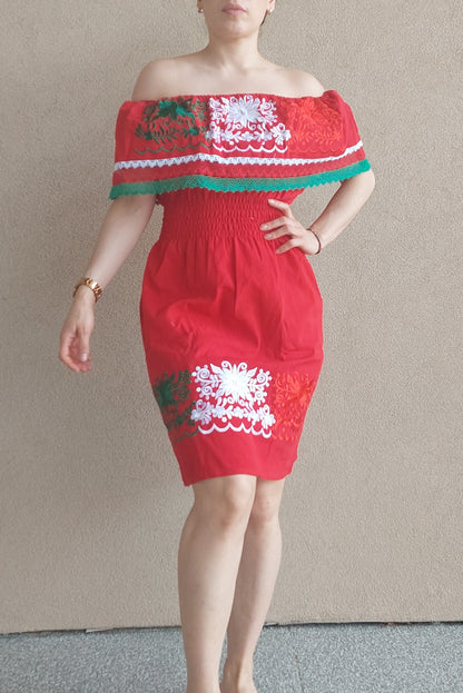 Tricolor Quetzal dress